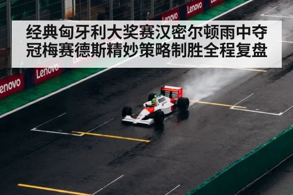 Lewis Hamilton Mercedes wet race