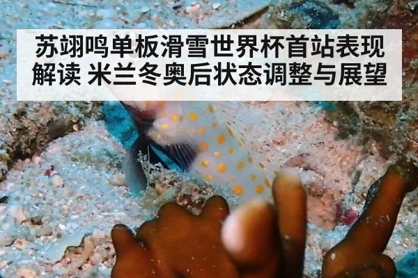 苏翊鸣单板滑雪世界杯首站表现解读 米兰冬奥后状态调整与展望